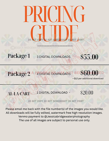 Photo pricing-3